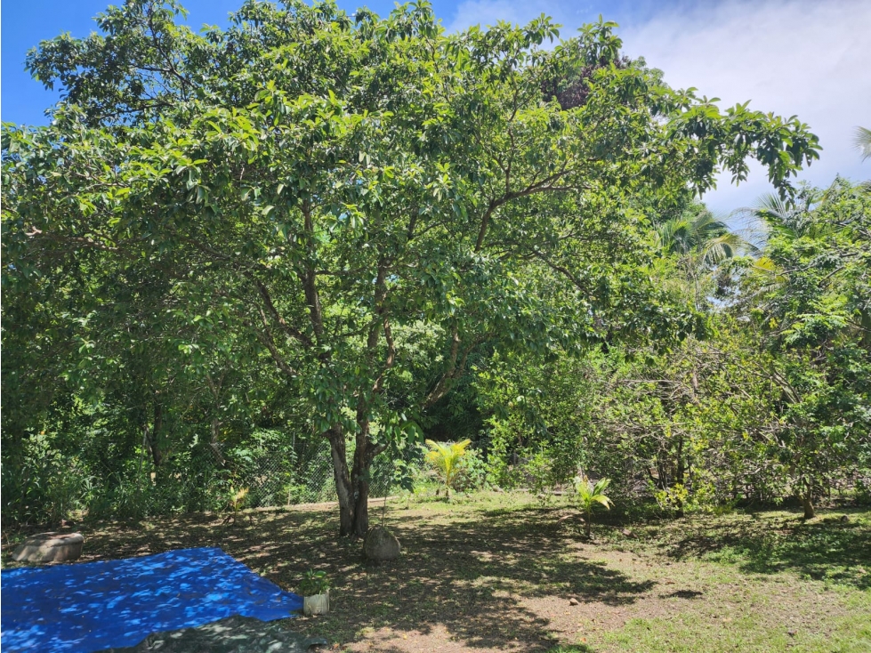 Terreno en Venta de 870 m² en San Carlos, Panamá Oeste — foto 4