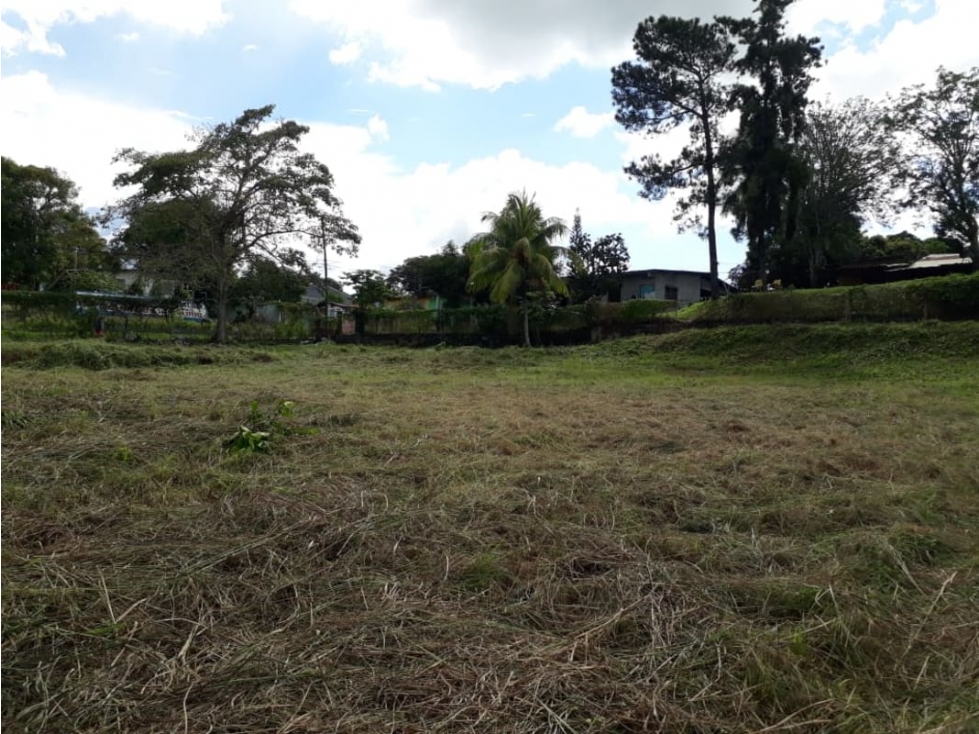 se Vende Lote Comercial en chorrera 1.600 mts 2 $992.000.00