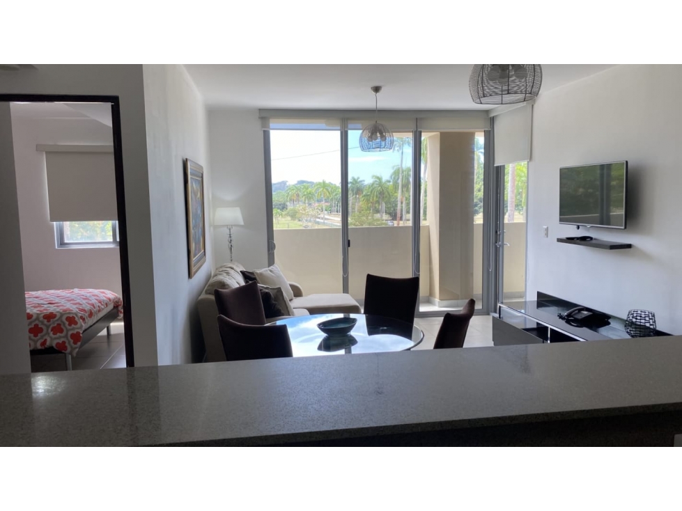 Alquilo espectacular apartamento en ph Mosaic