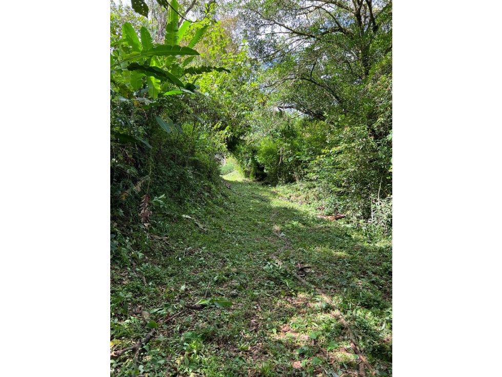 Terreno de 30 Hectáreas a la Venta en El Valle de Antón por $1,000,000 - 1