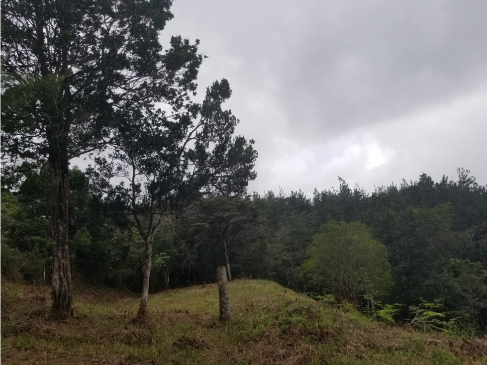 Terreno en Cerro Azul 1298 Mts2 $60,000 - 1