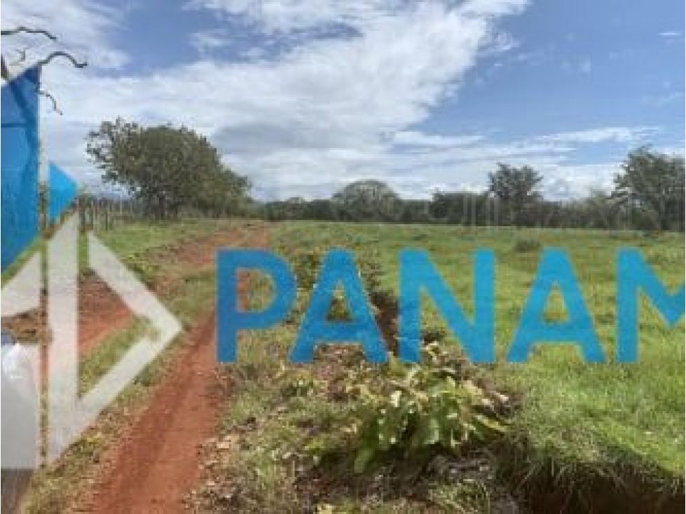 Se Vende Finca Ganadera 165 Hectáreas San Lorenzo USD792,000, - 2