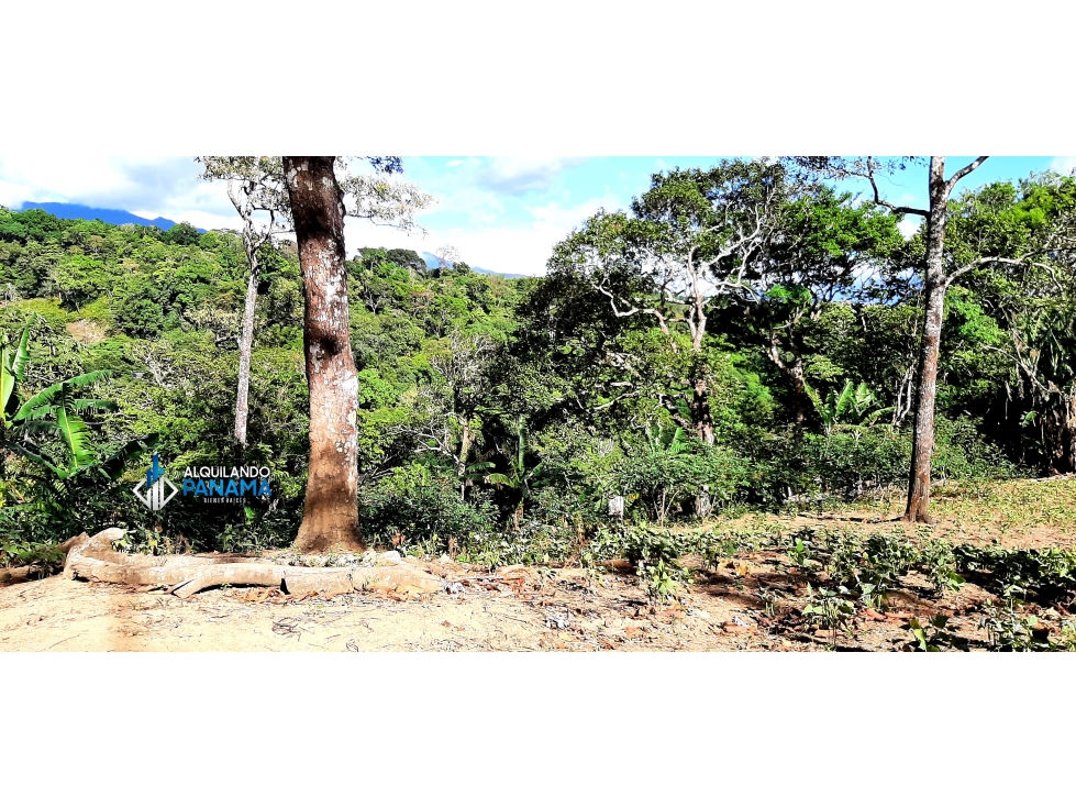 En venta terreno en Palmira |KH - 2