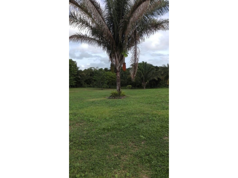 Se Venden Lotes 3,350 Mts La Chorrera Santa Rita USD57,000,oo - 3