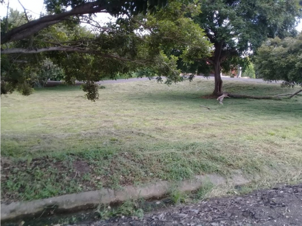 Se Vende Terreno Chame 1.009Mts Frente Gorgona USD$35,000,oo - 2