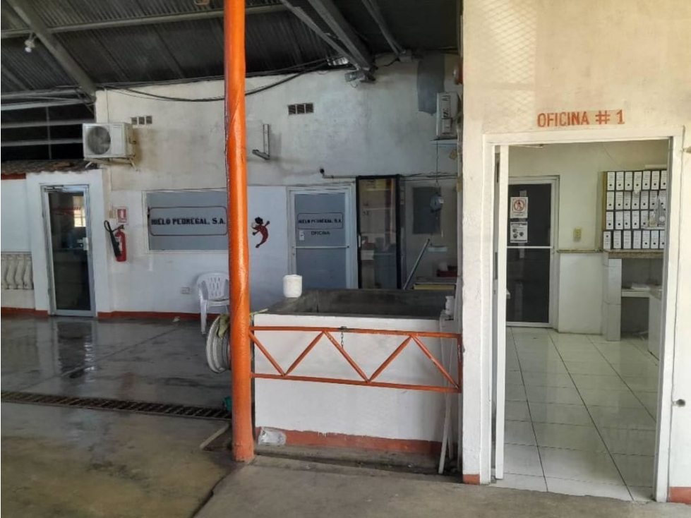 VENTA DE GALERA PARA FABRICA DE HIELO 1,000 MTS - 2