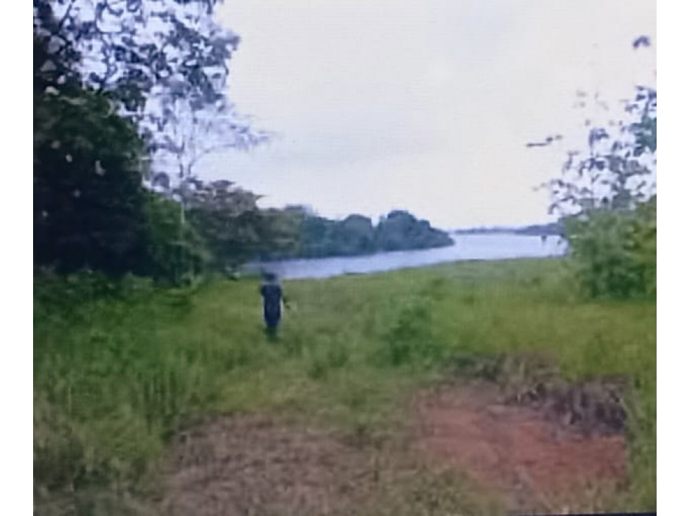 Se Vende Finca Agropecuaria 70 Ha Lago Gatun usd$42,858,oox Ha. - 3