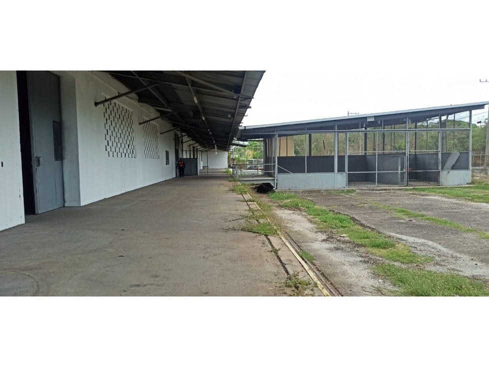 SE ALQUILA BODEGA CERCA DE ALBROOK | 3,592MT2