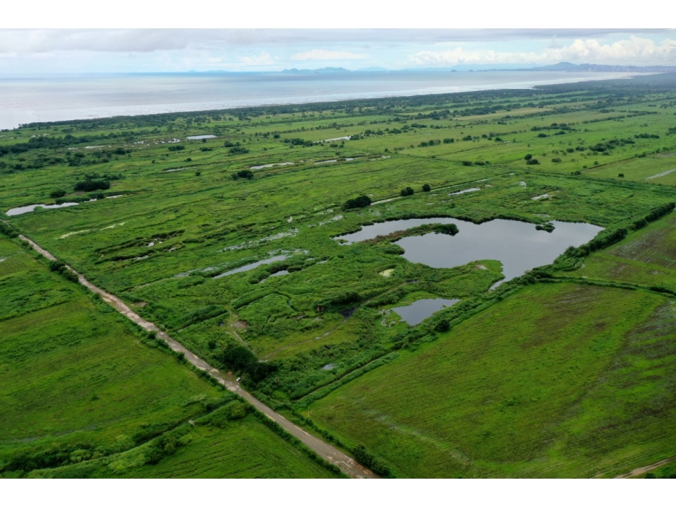 SE VENDE FINCA DE 75 HECTAREAS - 1