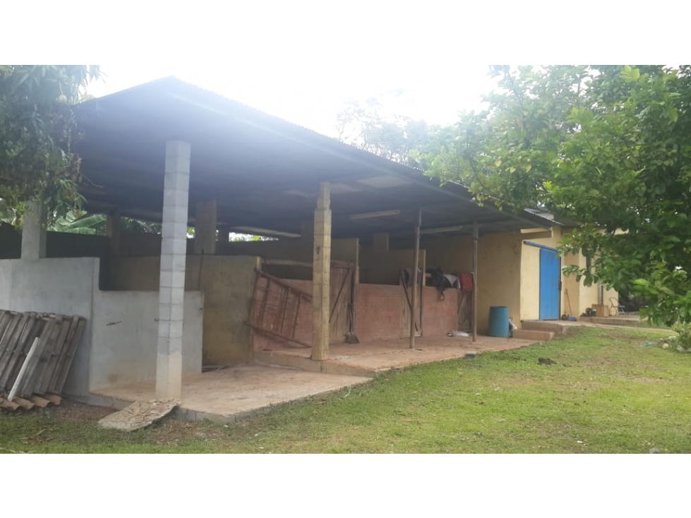VENDO FINCA DE 18 HECTAREAS EN CERRO CAMA - PANAMA OESTE!!! - 2