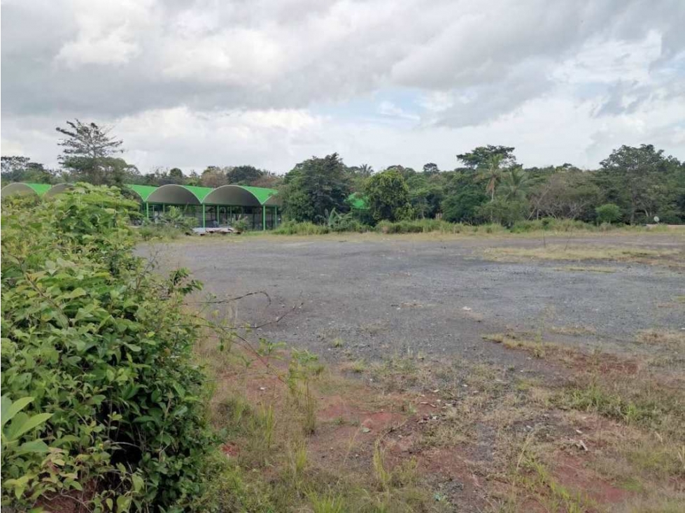 SE ALQUILA LOTE EN LA CHORRERA - 3