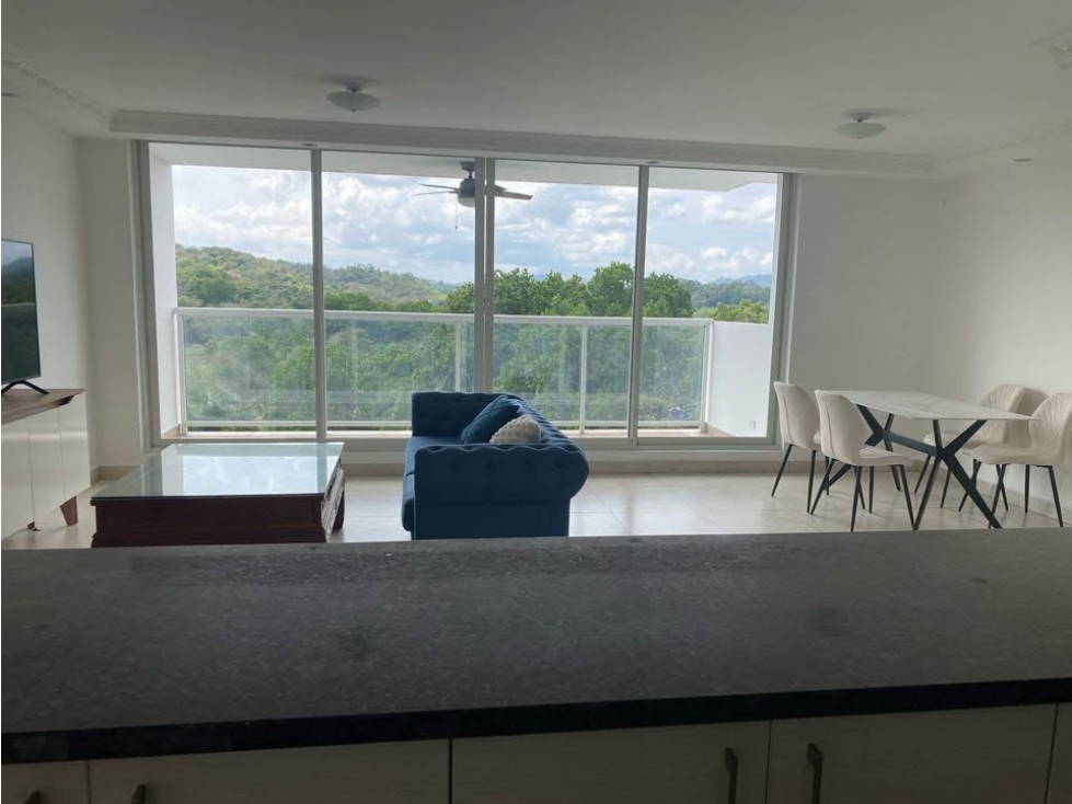 Apartamento en Alquiler Clayton Park II Amoblado