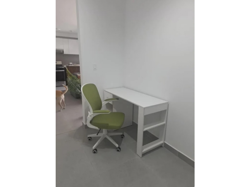 ALQ APTO CARRASQUILLA RISE PROYECTO PARK SQUARE AMUEBLADO 2R 2B