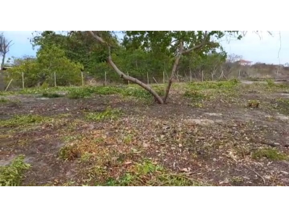 En Venta Terreno Plano de 1,953 m2 en Punta Chame, Panamá Oeste — foto 2