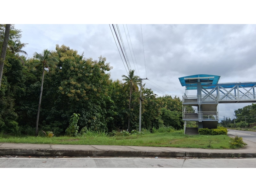 En venta Terreno en el Higo de San Carlos, Panamá Oeste — foto 6