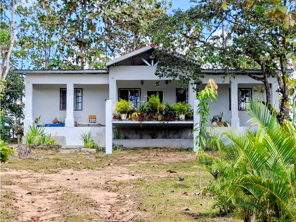 Casa en Venta en Las Minas de Ocú, Provincia de Herrera. - 2