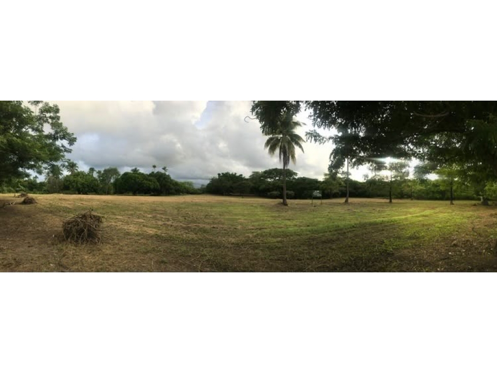 Se vende terreno plano de 27,470 m² en Punta Barco Viejo, San Carlos
