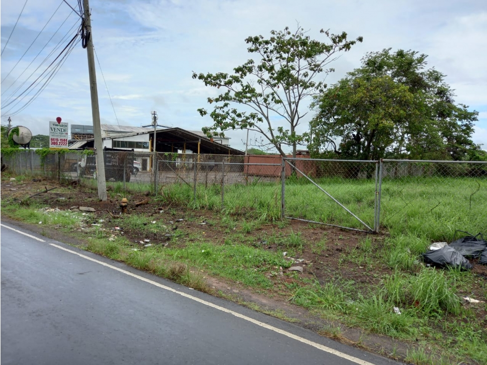Se alquila o se vende terreno con galera de 6000 m2 en chorrera $ 600 - 1