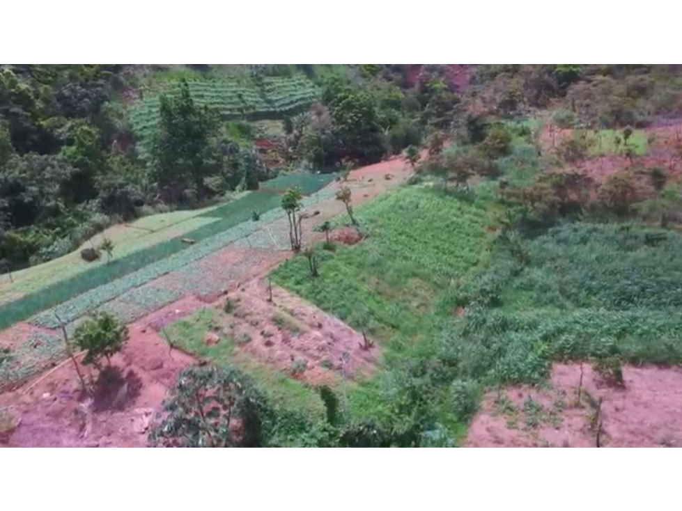 SE VENDE TERRENO en COCLE VALLE ANTON 25 HECTAREAS -I.G. - 6