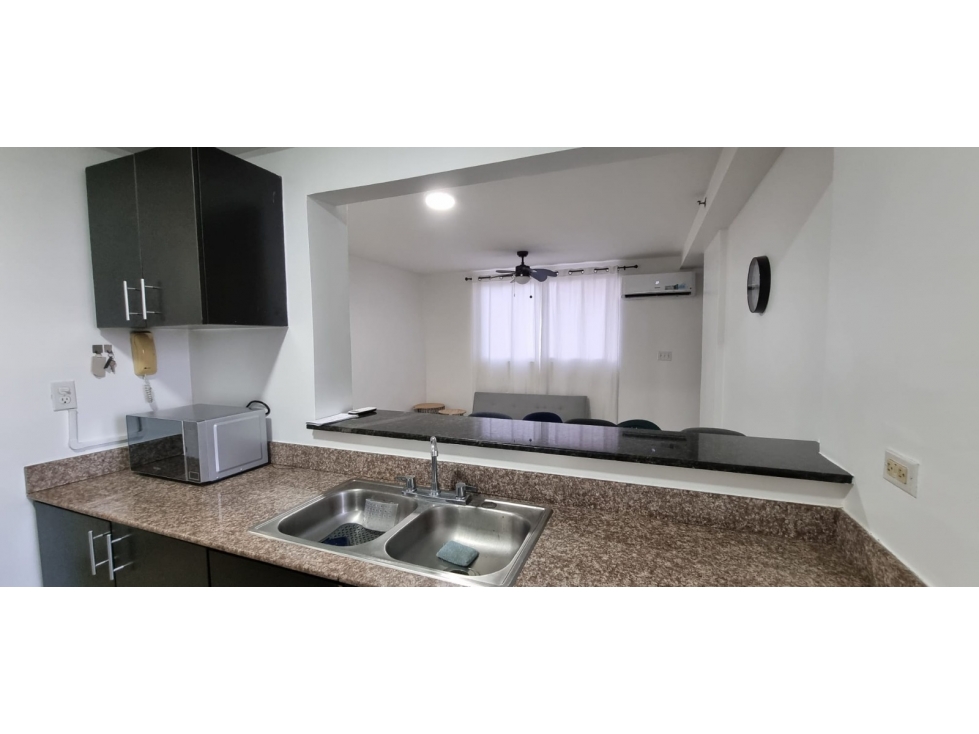 ALQUILO APARTAMENTO EN PH CENTENNIAL - 2