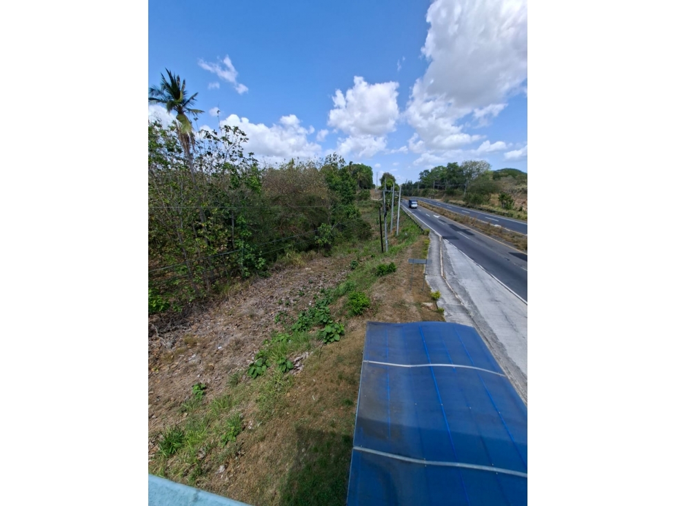 En venta Terreno en el Higo de San Carlos, Panamá Oeste — foto 3