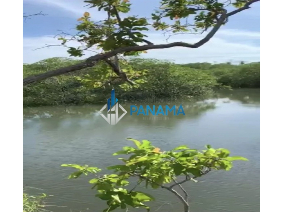 Se Vende Finca Ganadera 165 Hectáreas San Lorenzo USD792,000, - 6