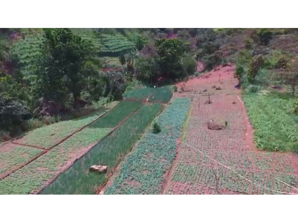 SE VENDE TERRENO en COCLE VALLE ANTON 25 HECTAREAS -I.G. - 4