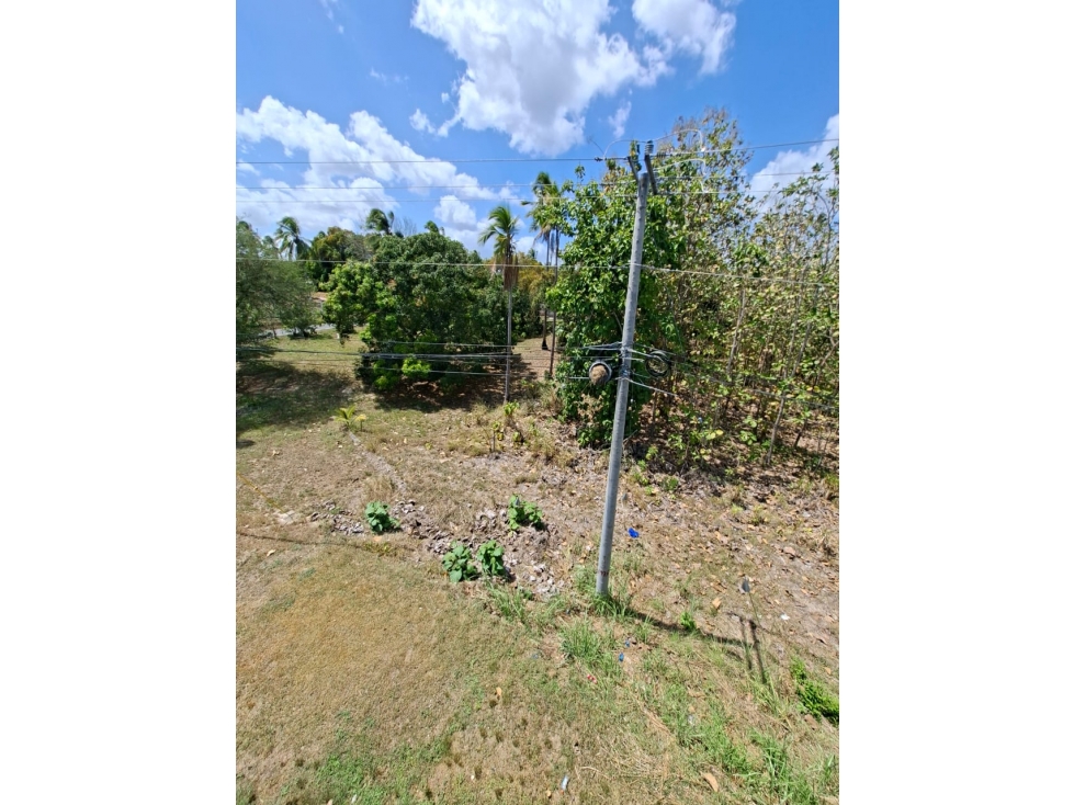 En venta Terreno en el Higo de San Carlos, Panamá Oeste — foto 5