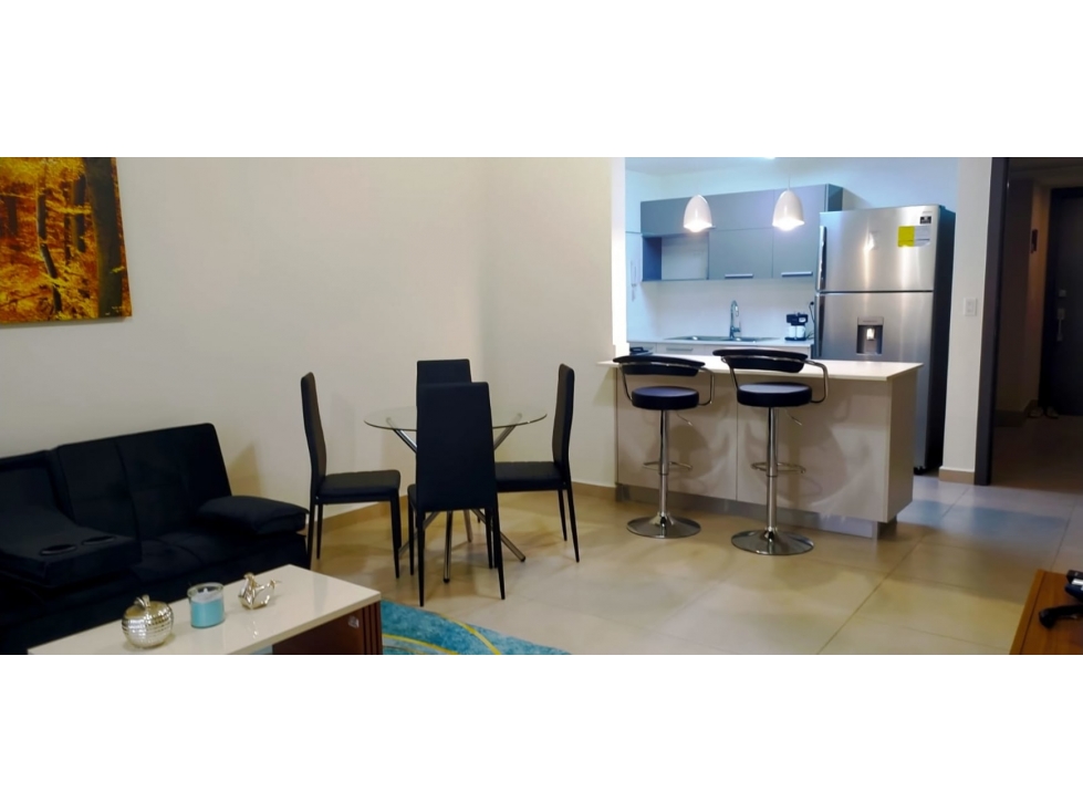 Alquilo Extraordinario apartamento amoblado en howard - 6