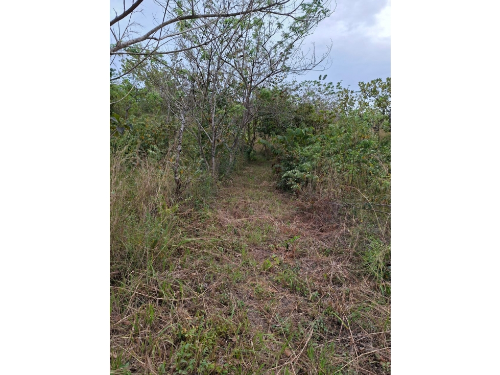 En Venta terreno en el Nance de San Carlos, Panamá Oeste — foto 4