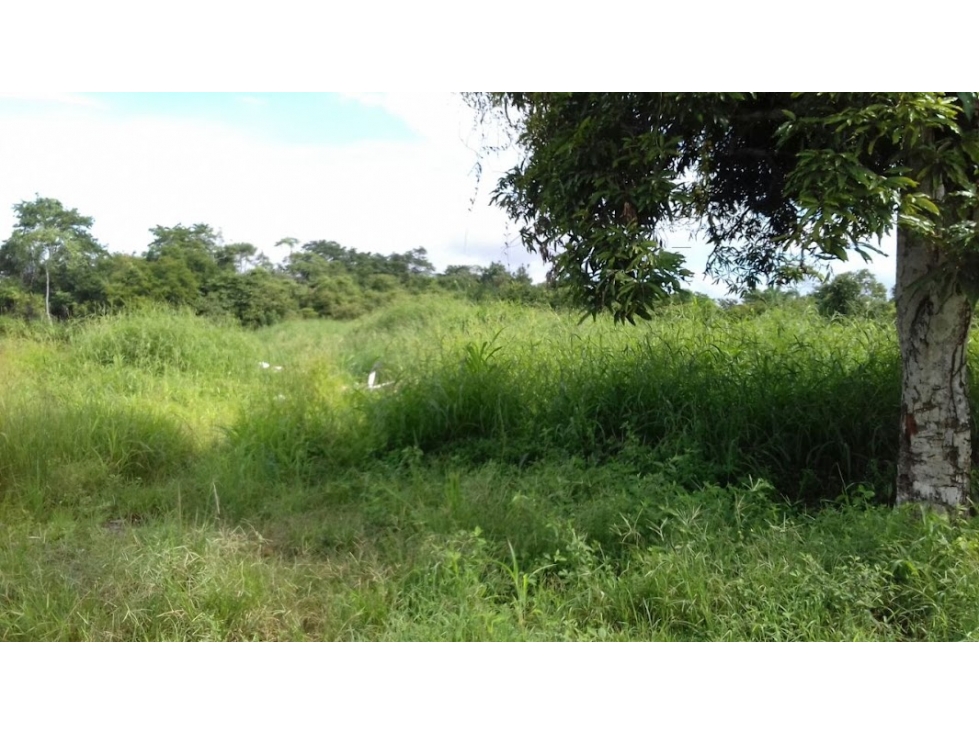 Se Vende Terreno en Pacora - 4