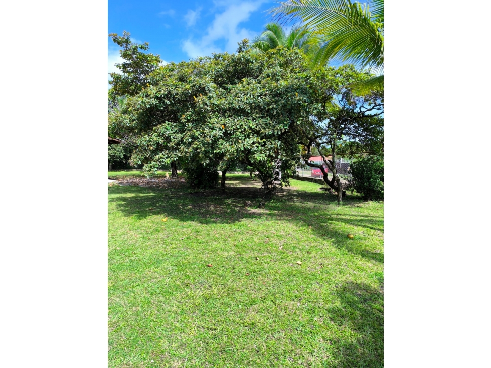 En venta propiedad en el Harino de San José-San Carlos - 4
