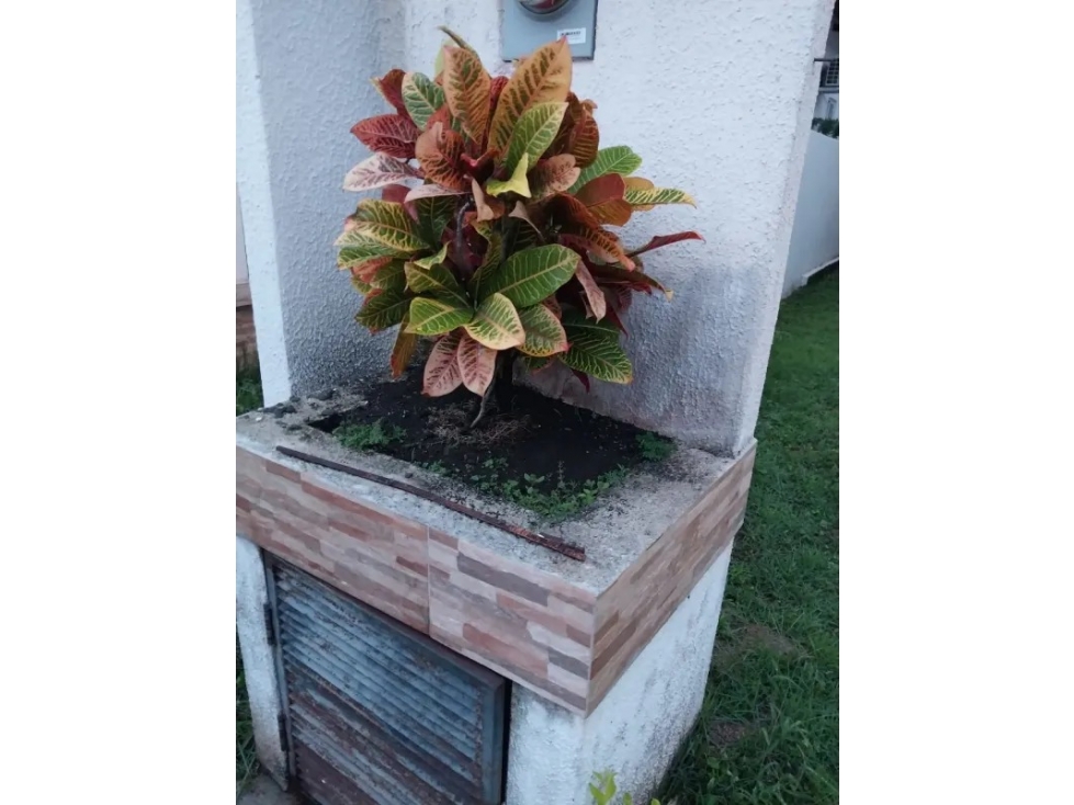 ALQUILO HERMOSA CASA RESIDENCIAL EN VISTA VERDE $700!!! — foto 3