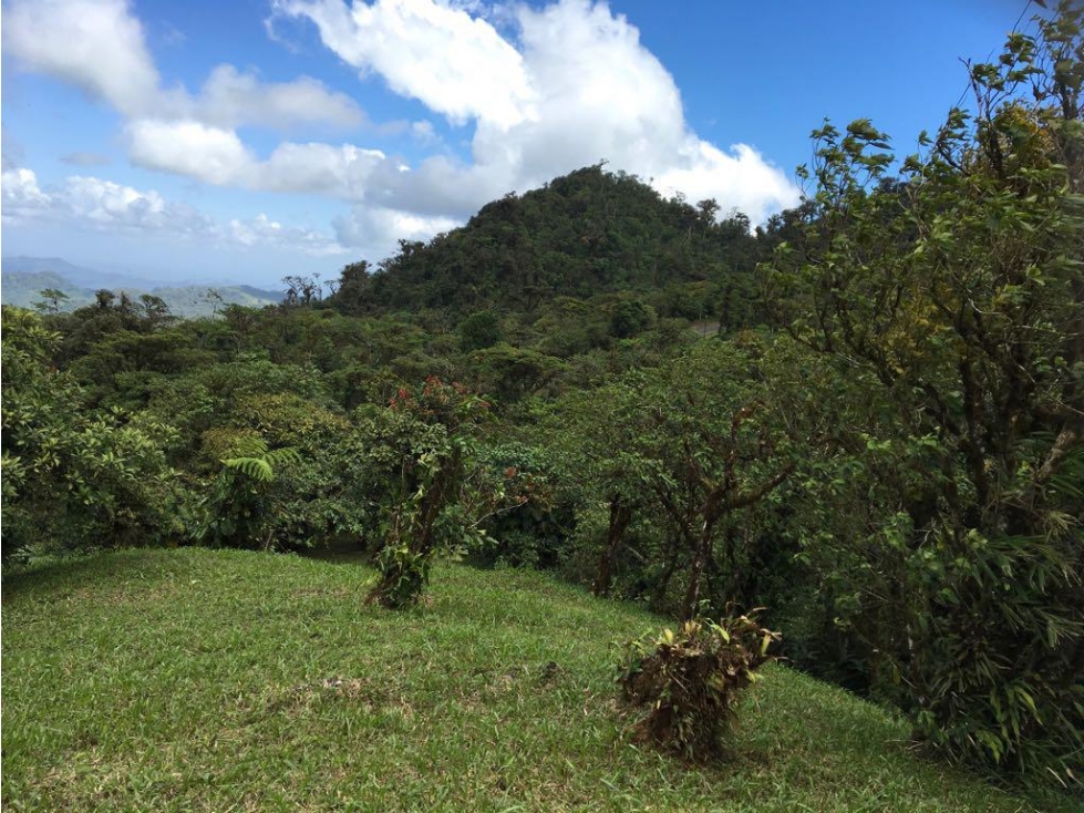 Se vende terreno de 4000 m2 en Altos de maría $80,000 - 3