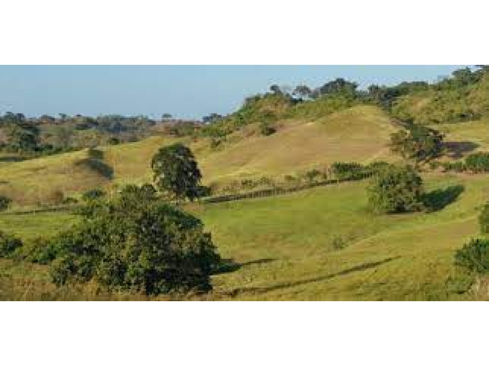 VENDO FINCA CON CASA EN LAS TABLAS $170000 - 2