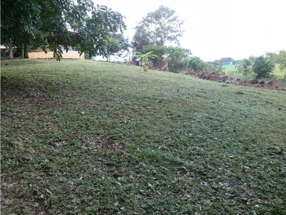 VENDO TERRENO SAJALICES DE CHAME $50.000 NEG. - 2