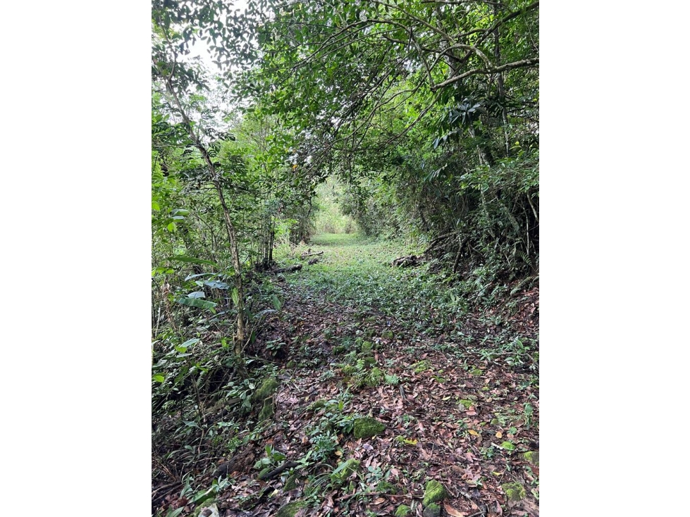 Terreno de 30 Hectáreas a la Venta en El Valle de Antón por $1,000,000 - 2