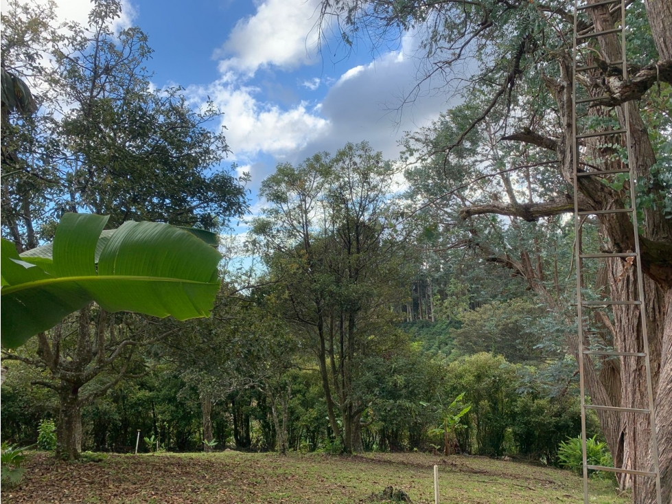 JF| Se vende hermoso lote en Boquete 3148m2 - 2