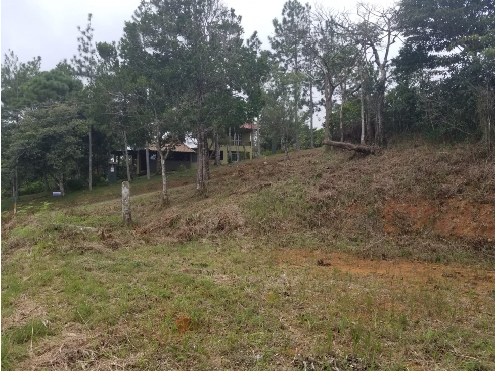 Terreno en Cerro Azul 1298 Mts2 $60,000 - 2
