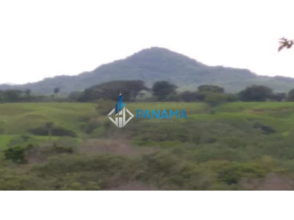 Se Vende Finca Ganadera 165 Hectáreas San Lorenzo USD792,000, - 4