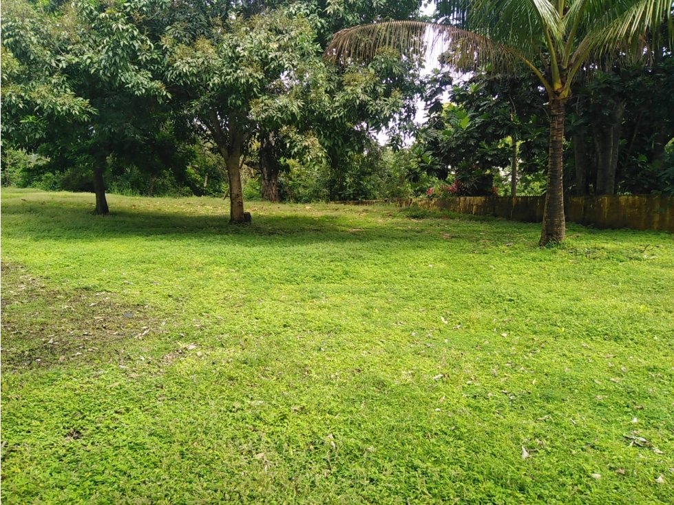 SE VENDE TERRENO EN PUEBLO NUEVO >>$500 x mt2>> - 2