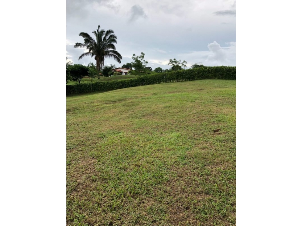 Se Venden Lotes 3,350 Mts La Chorrera Santa Rita USD57,000,oo - 2