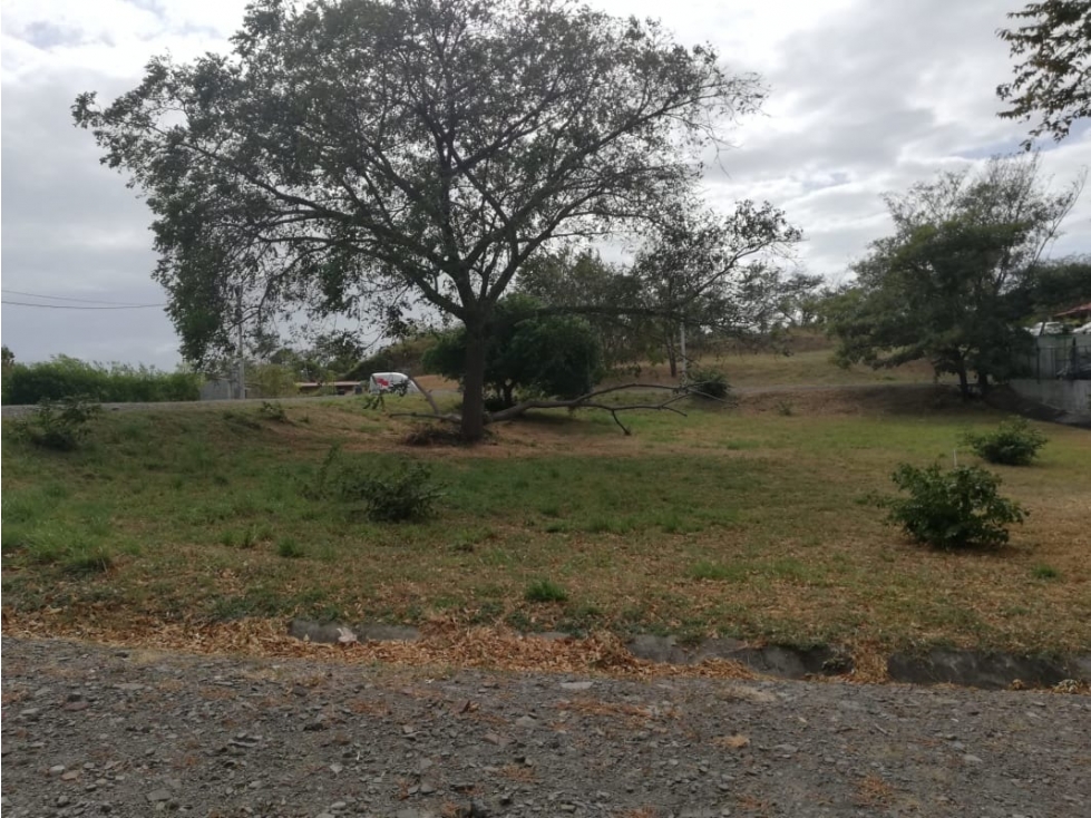 Se Vende Terreno Chame 1.009Mts Frente Gorgona USD$35,000,oo - 3