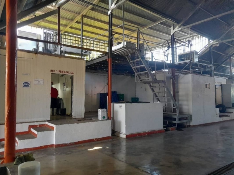 VENTA DE GALERA PARA FABRICA DE HIELO 1,000 MTS - 3