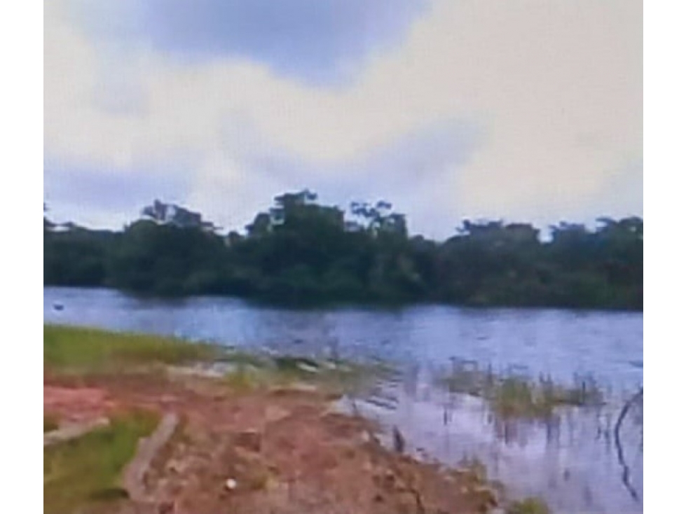 Se Vende Finca Agropecuaria 70 Ha Lago Gatun usd$42,858,oox Ha. - 6