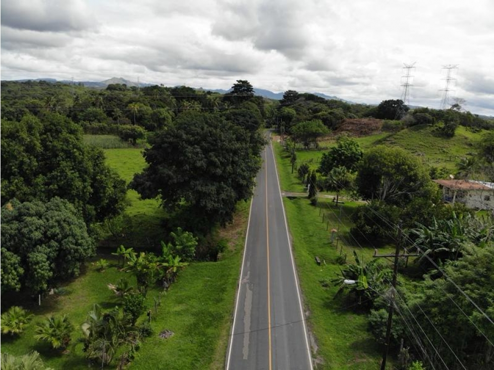 SE VENDE TERRENO EN ESPINO DE SAN CARLOS - 2