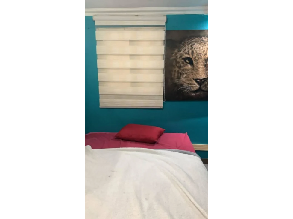 APARTAMENTO EN EL AREA DE BALBOA AMOBLADO — foto 3