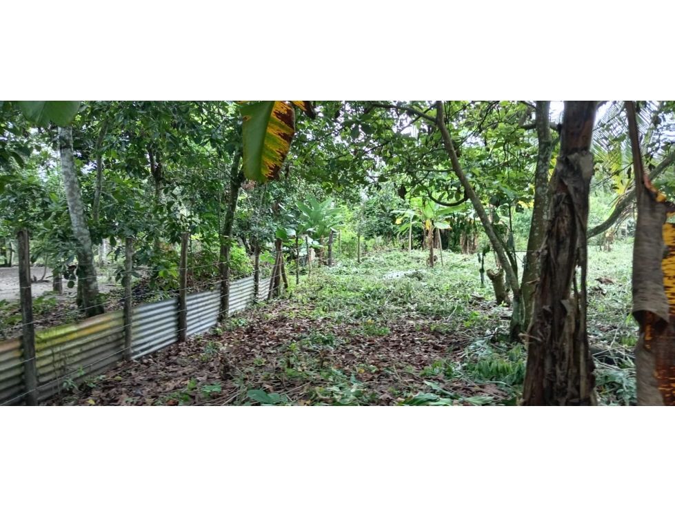 Venta de Terreno en Baru - 2