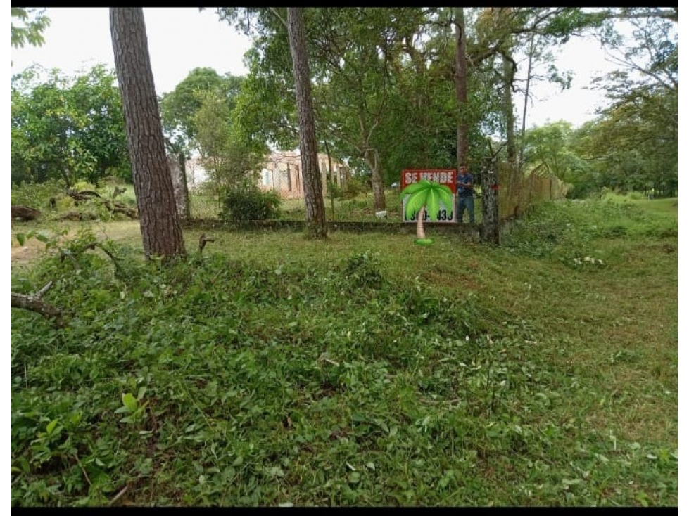 Venta de Terreno en Algarrobos - 2