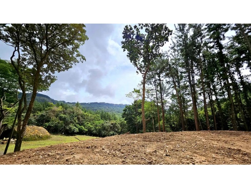 VENDO TERRENO EN ALTOS DEL MARIA - CHAME $77.100!!! - 2